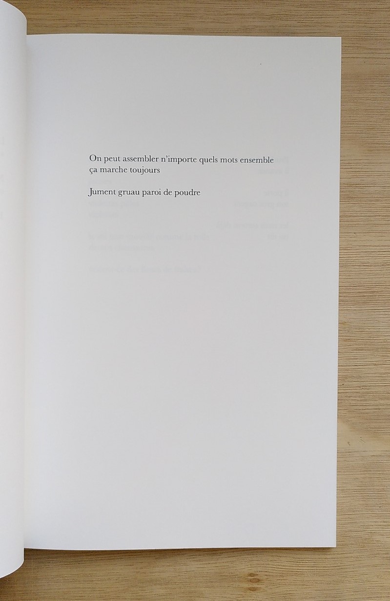 Les ratons laveurs - Sophie Couderc – Image 2