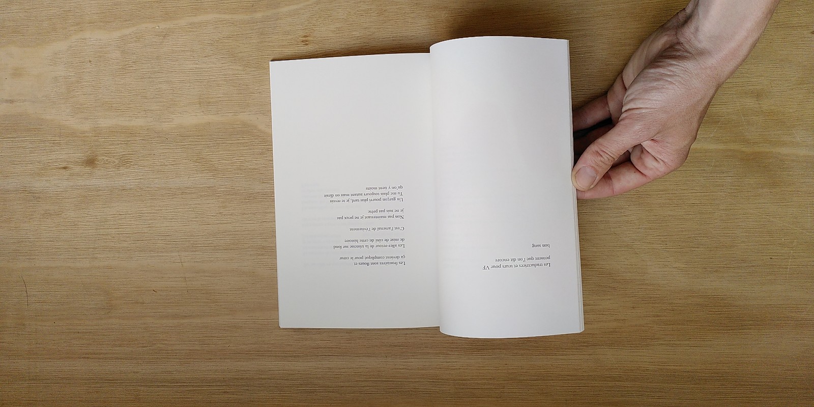 Les ratons laveurs - Sophie Couderc – Image 4