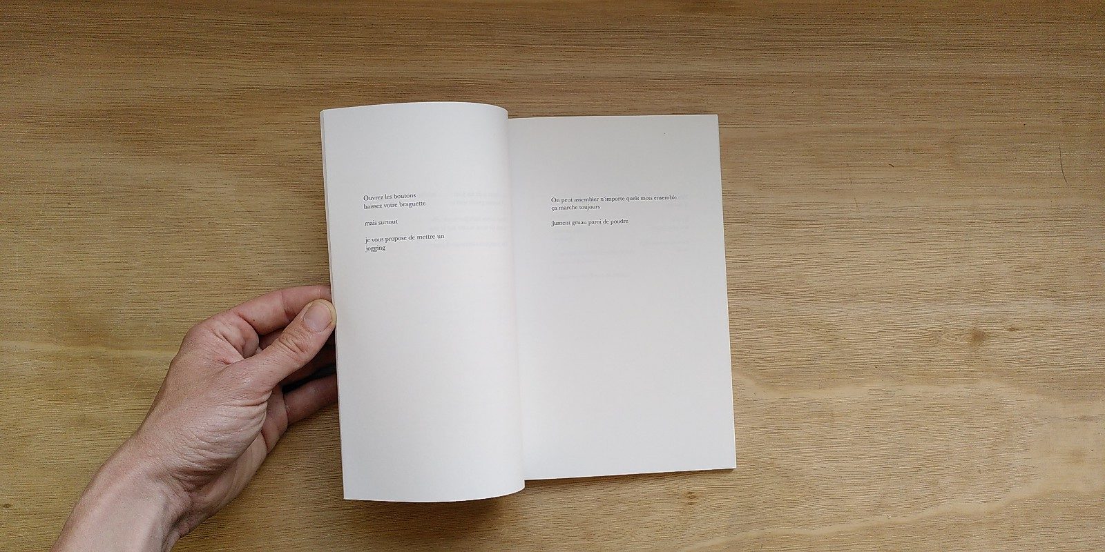 Les ratons laveurs - Sophie Couderc – Image 3