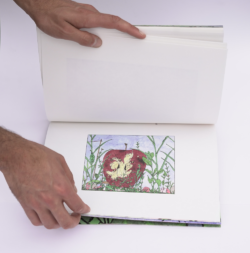 Jardins - Paul Vidal – Image 9
