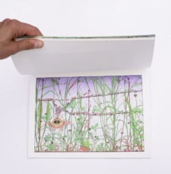 Jardins - Paul Vidal – Image 4