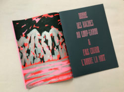 Donne des racines au loup-garou & fais courir l'arbre la nuit - Pauline Barzilaï – Image 8