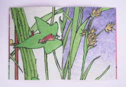 Jardins - Paul Vidal – Image 10