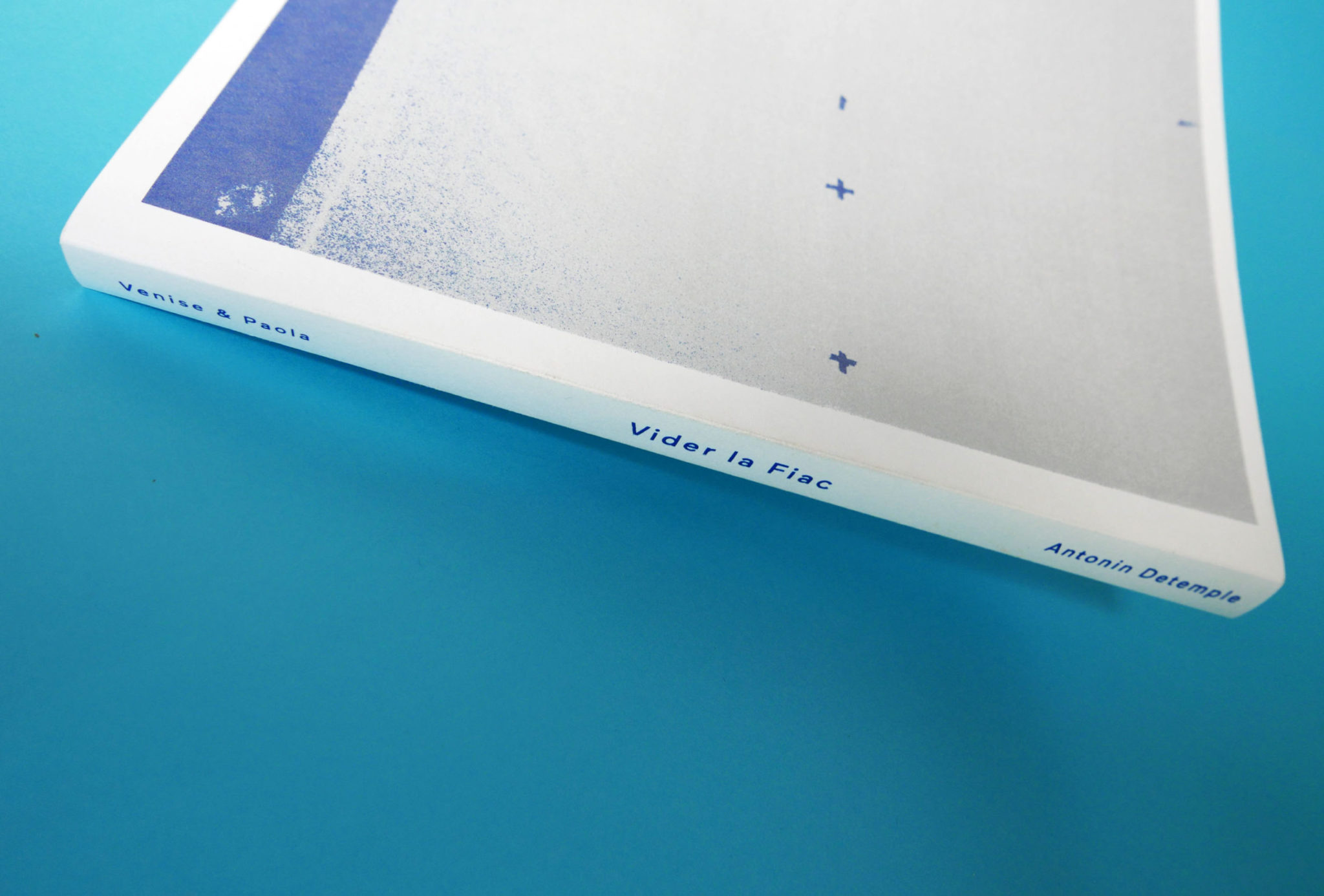 Vider la fiac - Antonin Detemple – Image 6