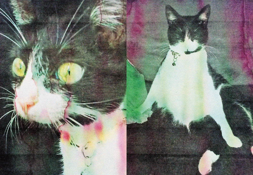 Felix - Felix the Saiz – Image 11