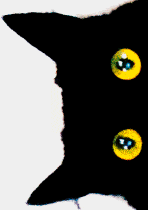 Felix - Felix the Saiz