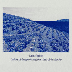 Carte des vignobles français en 2100 – Image 4