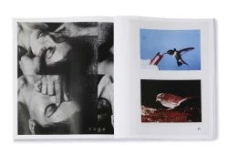 Arrangements - Carmen Winant – Image 8