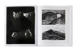 Arrangements - Carmen Winant – Image 7