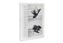 Arrangements - Carmen Winant – Image 2