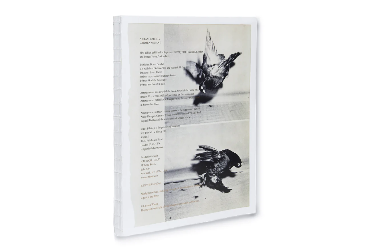 Arrangements - Carmen Winant – Image 2