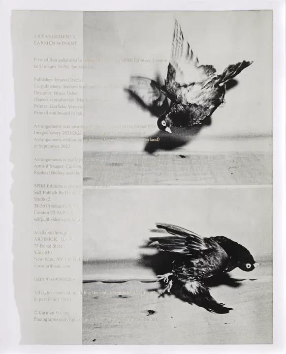 Arrangements - Carmen Winant