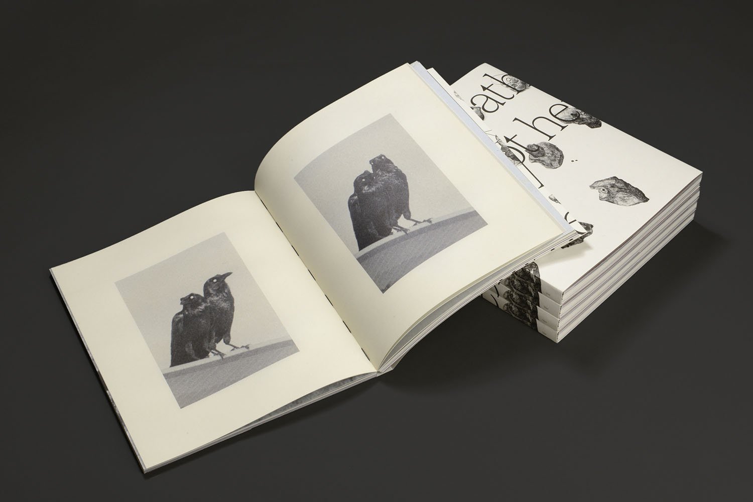 Death is not here - Wouter Van de Voorde – Image 12