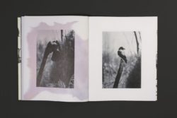 Death is not here - Wouter Van de Voorde – Image 14
