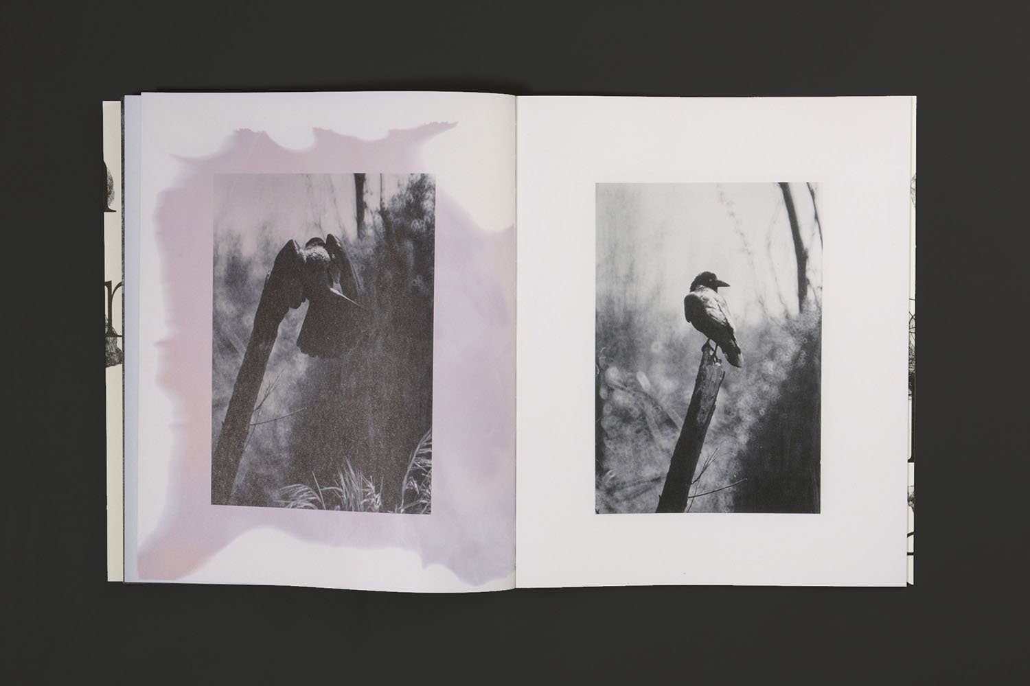 Death is not here - Wouter Van de Voorde – Image 14