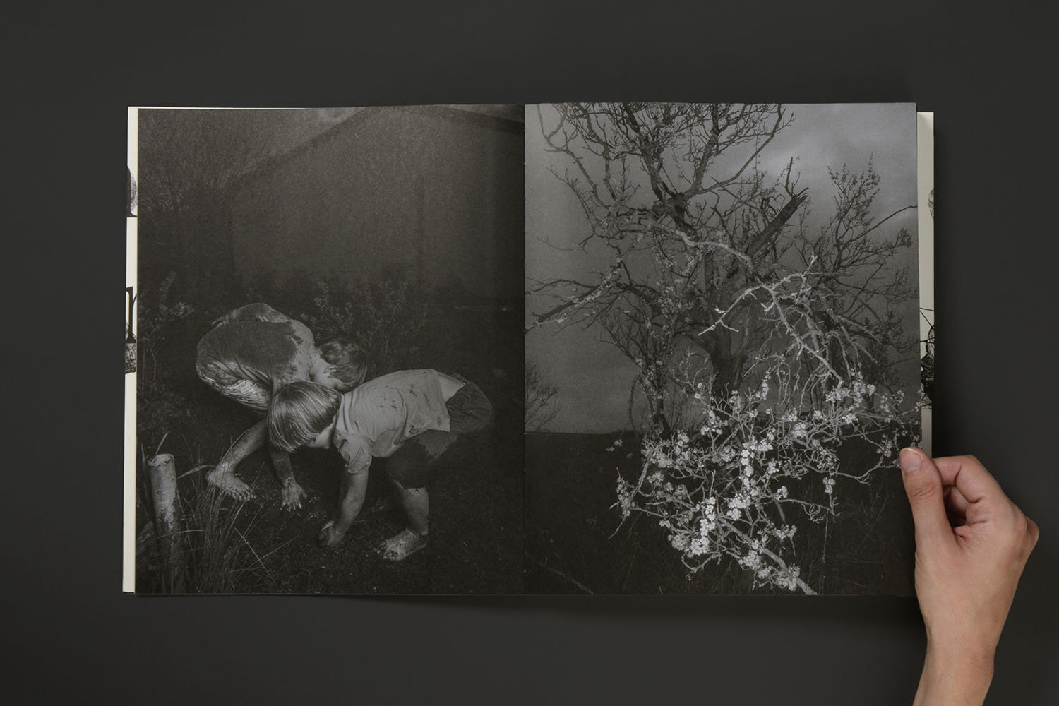 Death is not here - Wouter Van de Voorde – Image 13