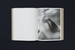 Joselito Verschaeve – If I call stones blue it is because blue is the precise word – Image 7