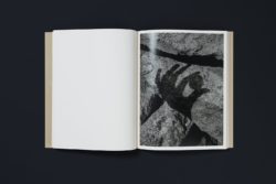 Joselito Verschaeve – If I call stones blue it is because blue is the precise word – Image 6