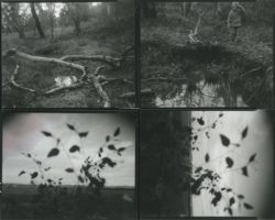 Death is not here - Wouter Van de Voorde – Image 4