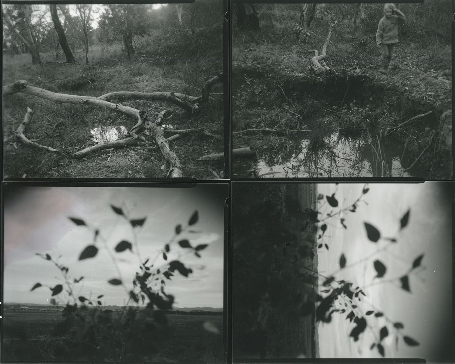 Death is not here - Wouter Van de Voorde – Image 4
