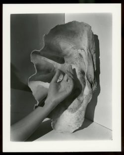 Death is not here - Wouter Van de Voorde – Image 2