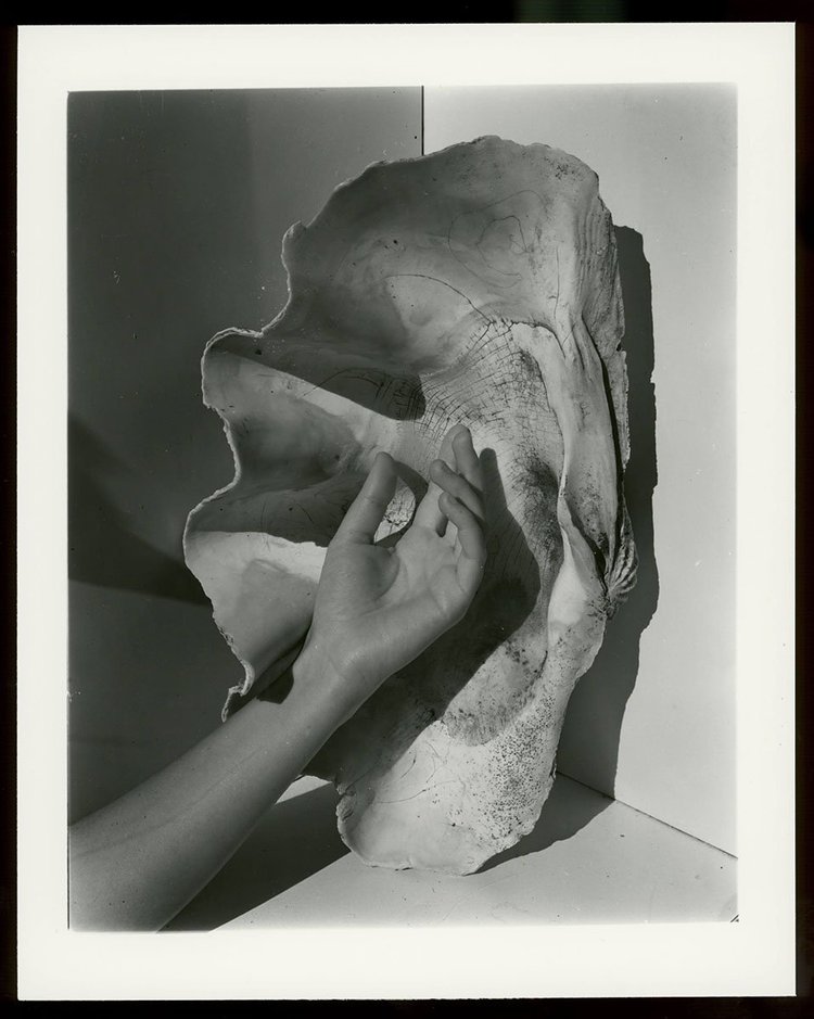 Death is not here - Wouter Van de Voorde – Image 2