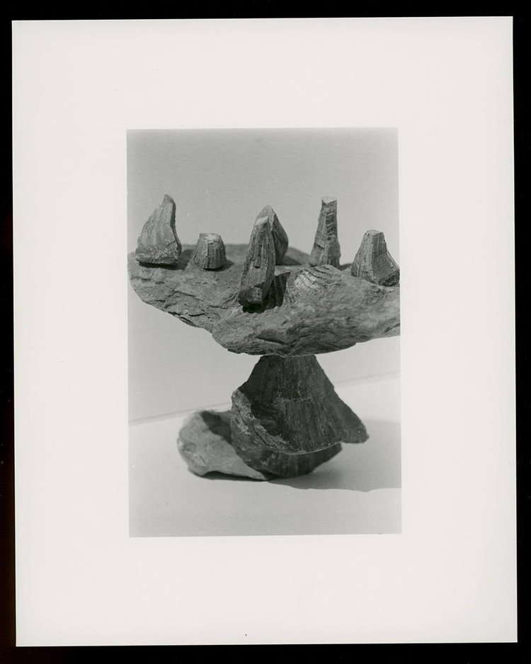 Death is not here - Wouter Van de Voorde – Image 7