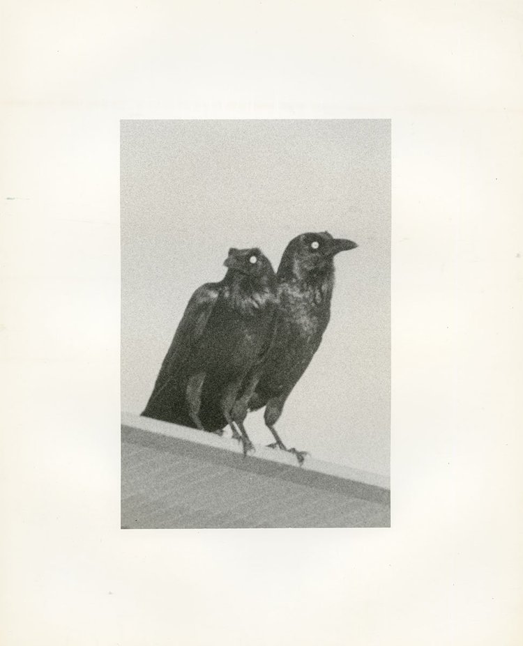 Death is not here - Wouter Van de Voorde – Image 3