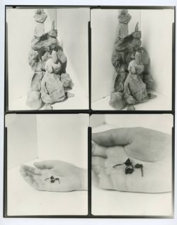 Death is not here - Wouter Van de Voorde – Image 9