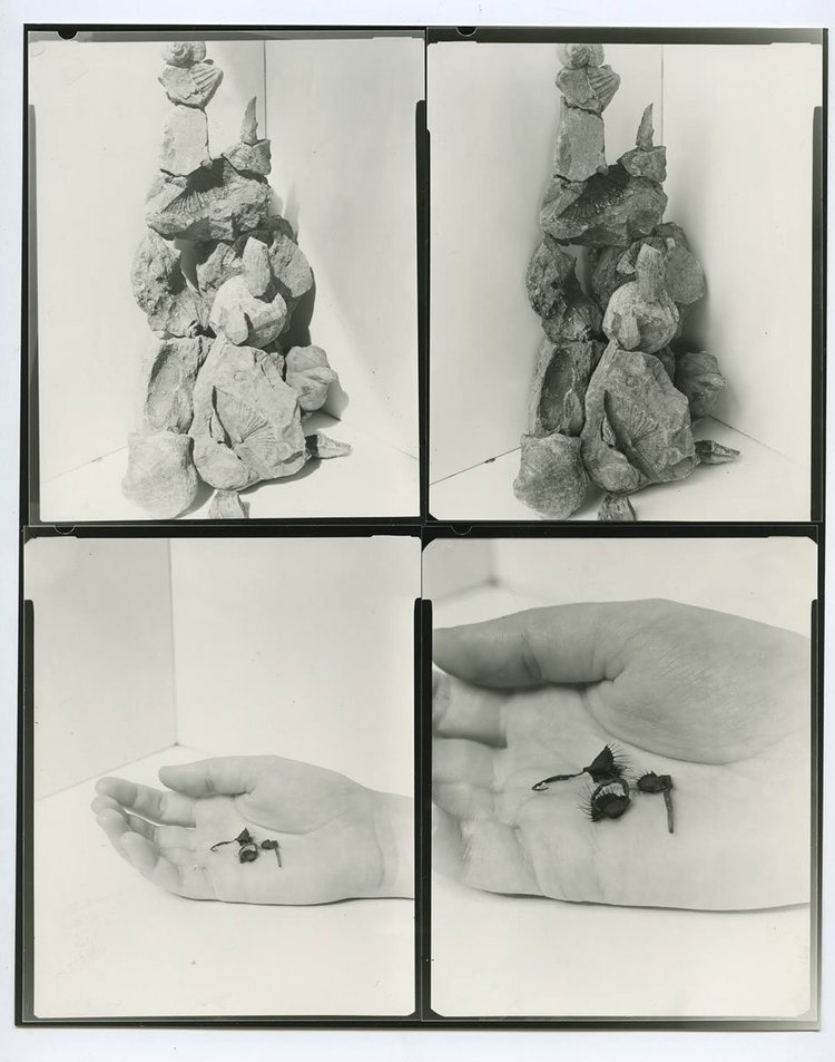 Death is not here - Wouter Van de Voorde – Image 9