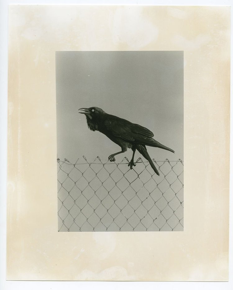 Death is not here - Wouter Van de Voorde – Image 11