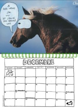 Calendrier 2023 Passion chevals - Nils Bertho – Image 3