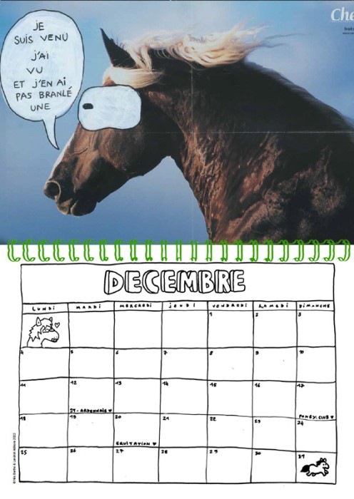 Calendrier 2023 Passion chevals - Nils Bertho – Image 3