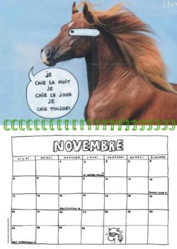 Calendrier 2023 Passion chevals - Nils Bertho – Image 4