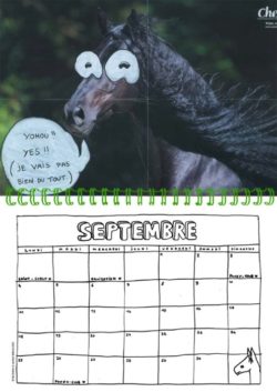 Calendrier 2023 Passion chevals - Nils Bertho – Image 5