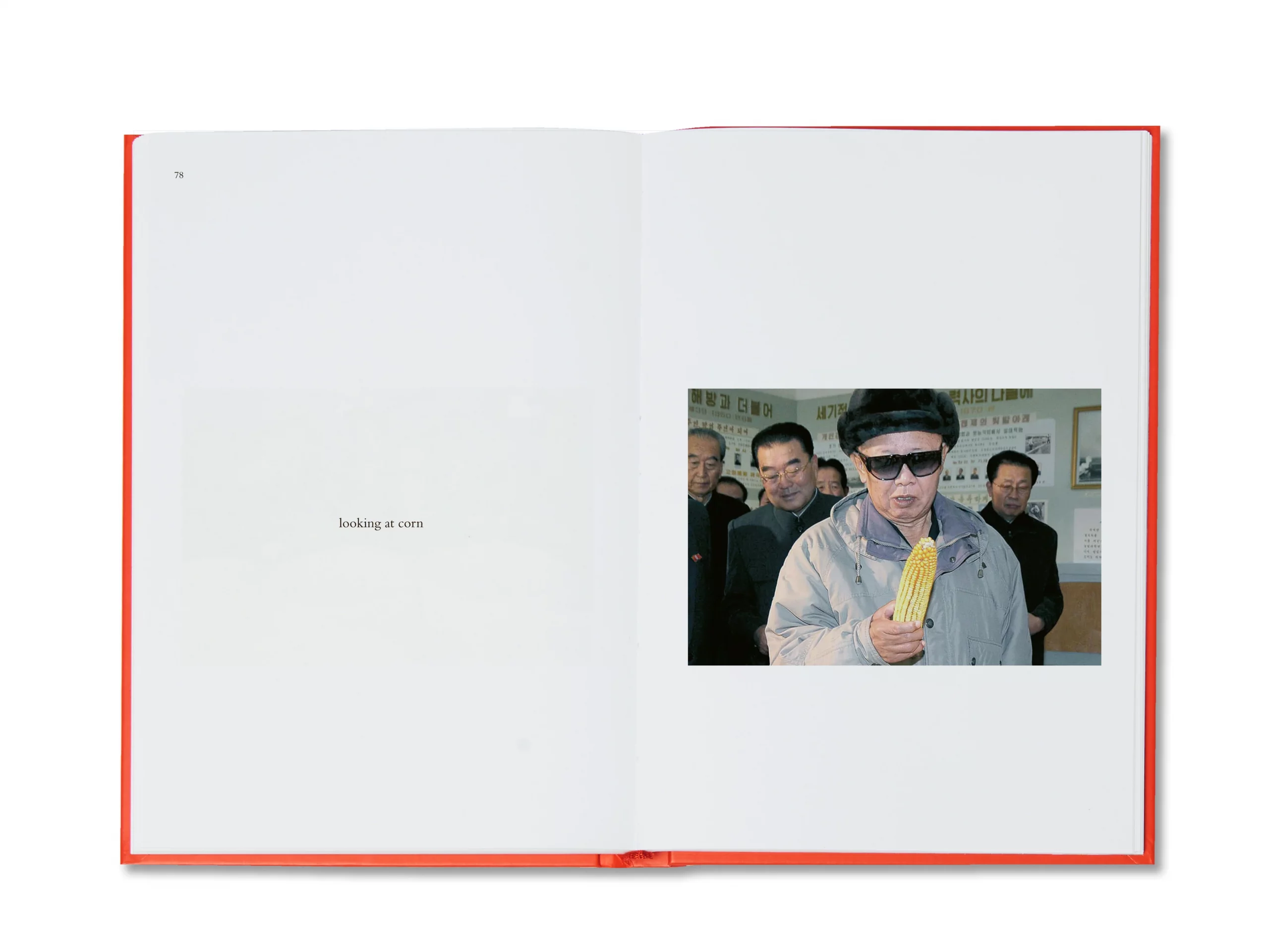 Kim Jong Il Looking at Things - João Rocha – Image 3