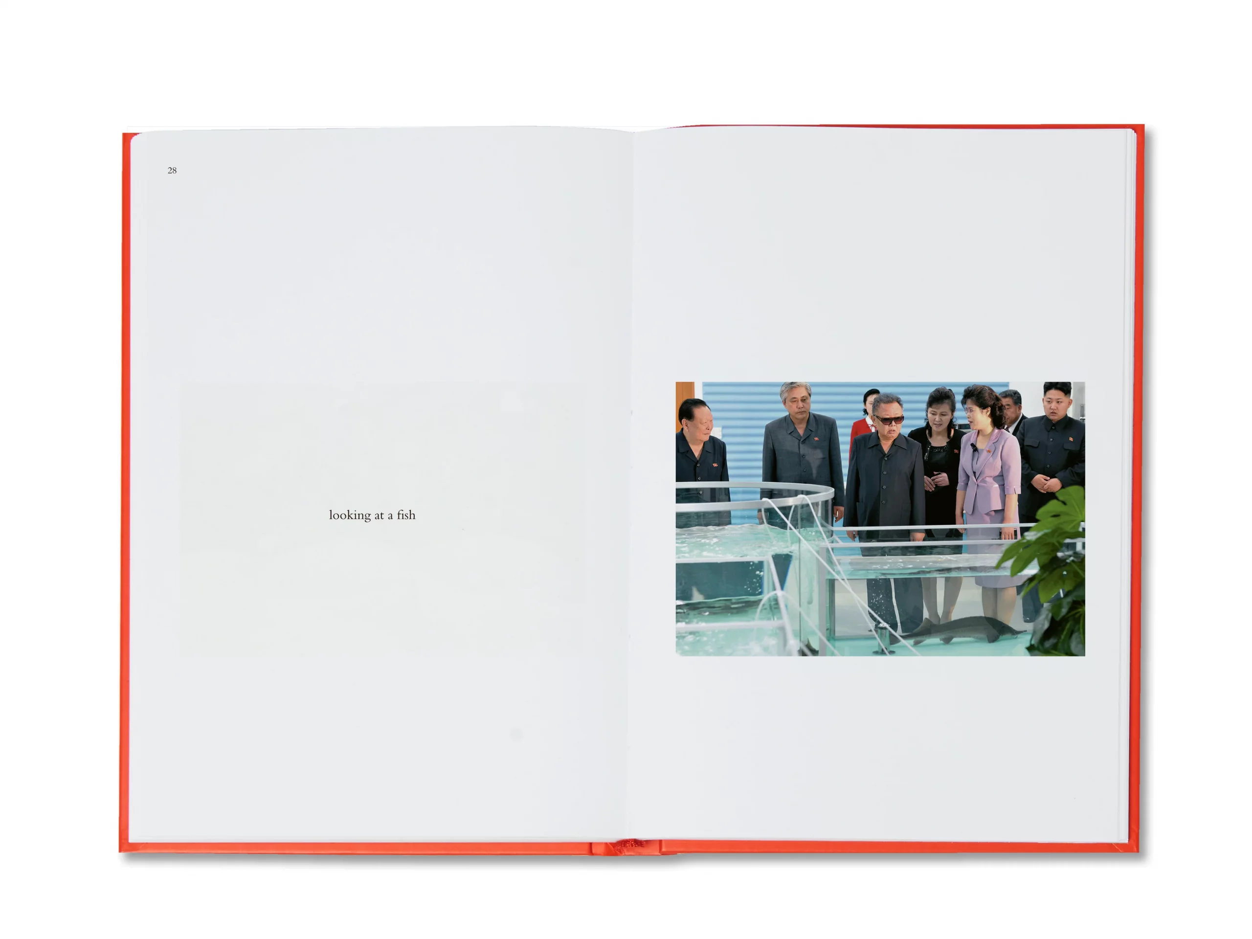 Kim Jong Il Looking at Things - João Rocha – Image 8