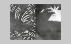 Halo - Julien Gobled – Image 2