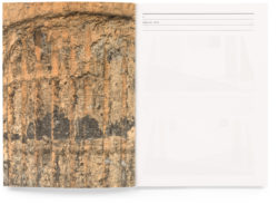 < - Gabriel Kuri – Image 2