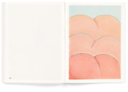 Météorismes - Julien Meert – Image 11