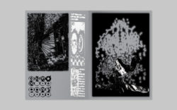 io - Rudy Guedj – Image 5