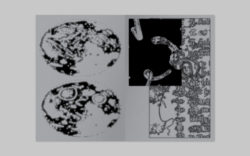 io - Rudy Guedj – Image 3
