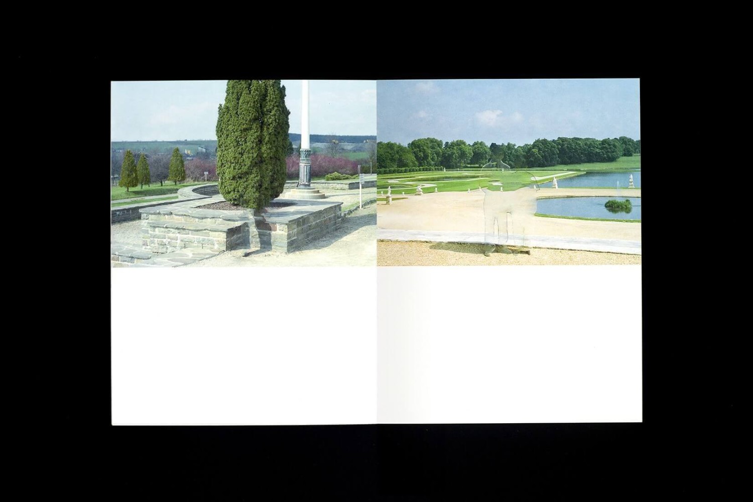 Tropism - Nhu Xuan Hua – Image 4