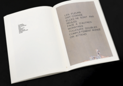 Le bal des estomac (une histoire pour les enfants) - Alan Schmalz – Image 9
