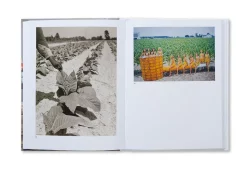 The Image of Whiteness - Daniel C. Blight – Image 13