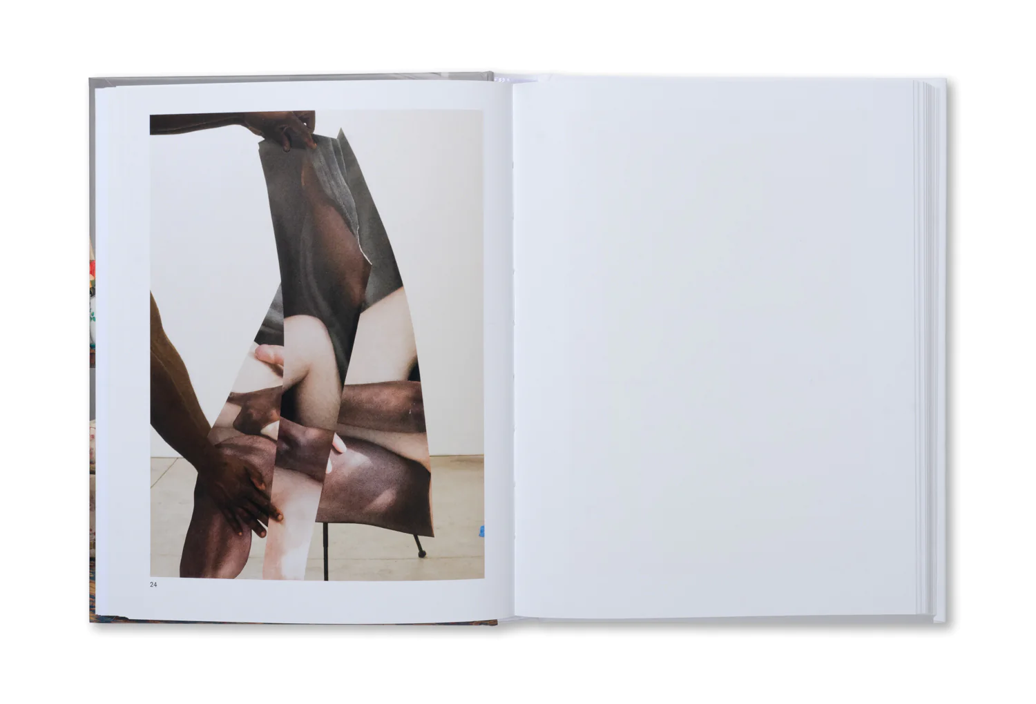 The Image of Whiteness - Daniel C. Blight – Image 12