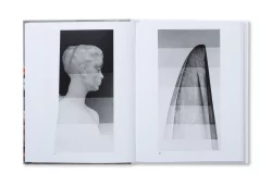 The Image of Whiteness - Daniel C. Blight – Image 11