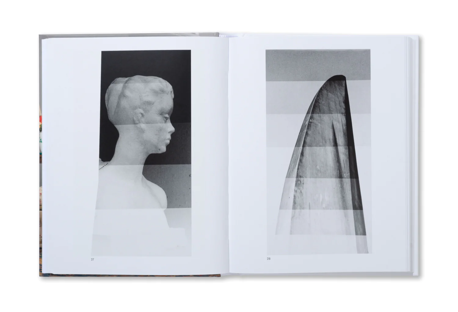 The Image of Whiteness - Daniel C. Blight – Image 11
