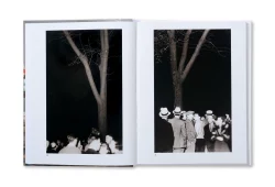 The Image of Whiteness - Daniel C. Blight – Image 2