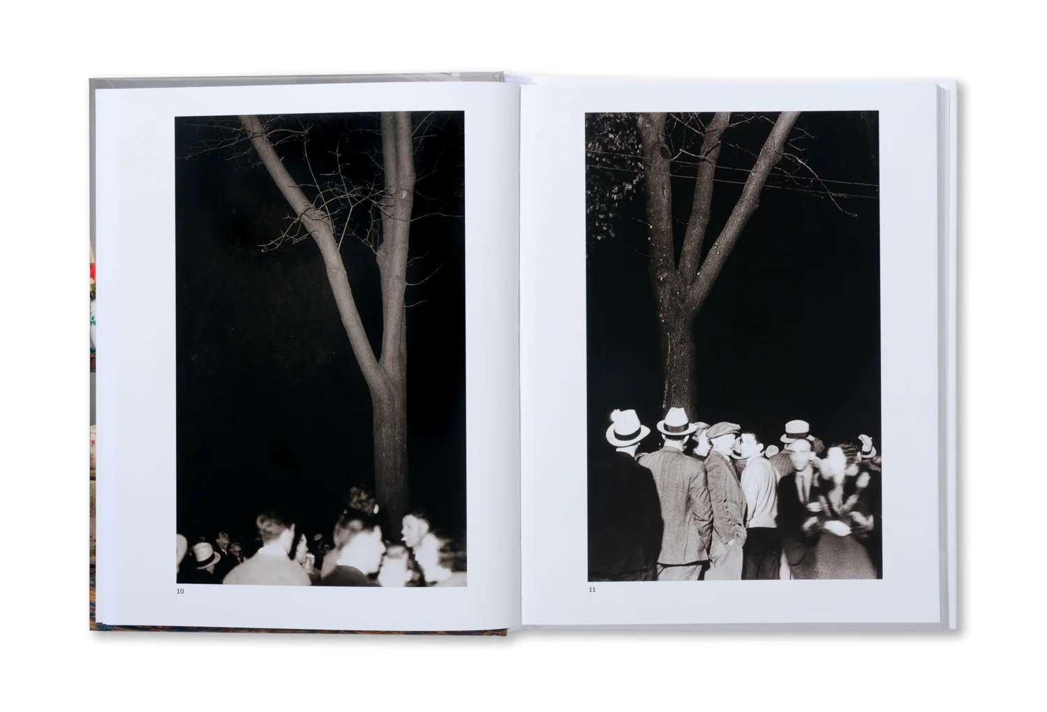The Image of Whiteness - Daniel C. Blight – Image 2